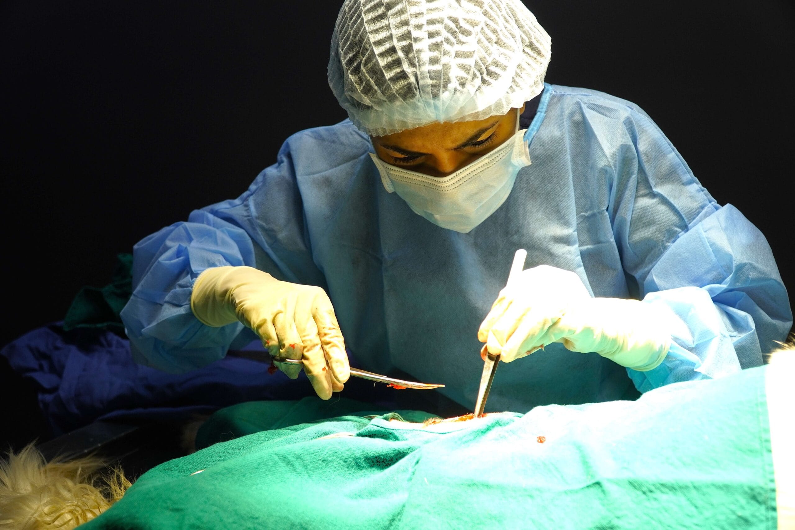 Soft-tissue surgery being performed by our veterinary surgeons at The Jupiter Pet Hospital Hyderabad