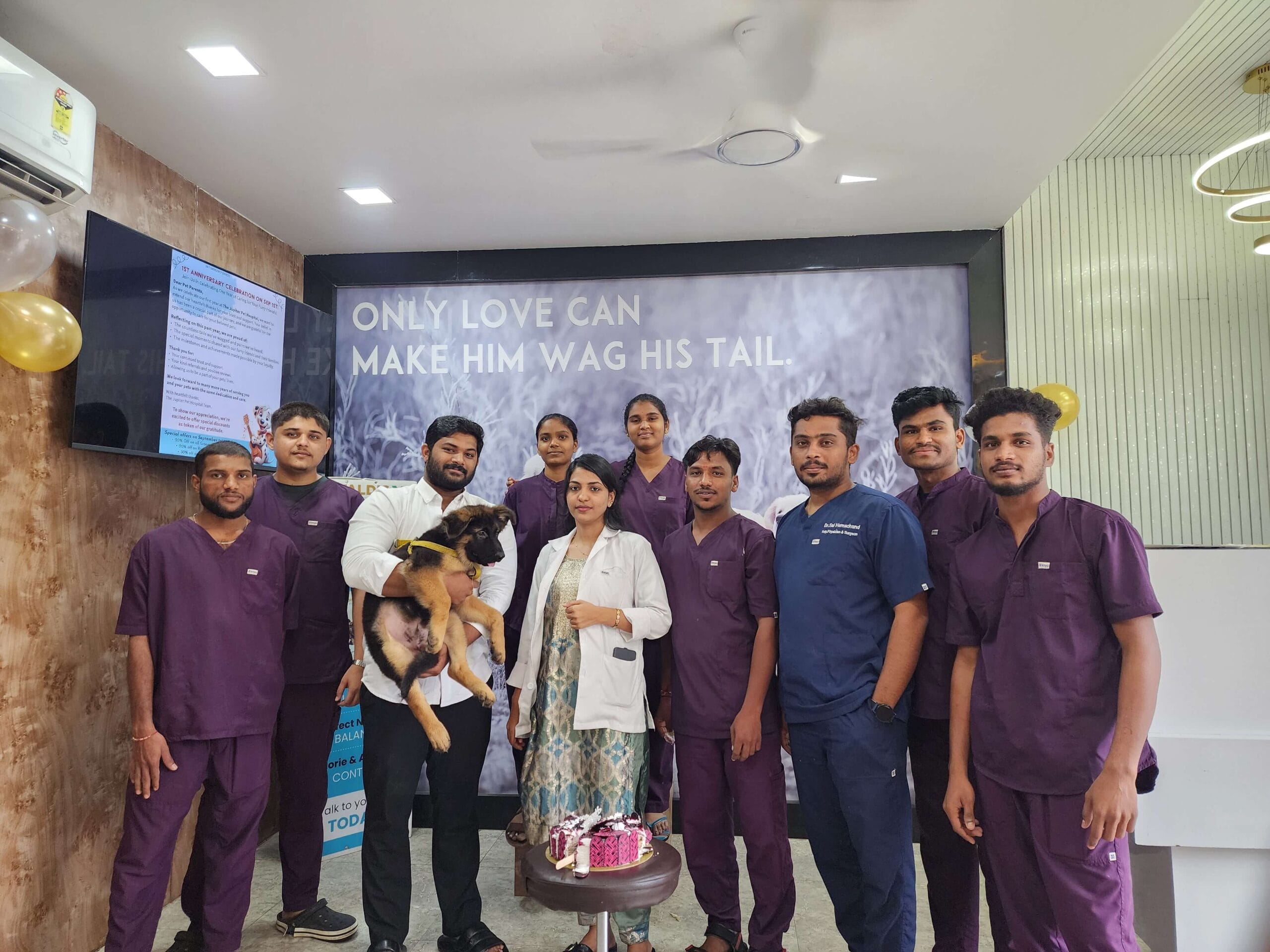 Veterinary Hospital near me