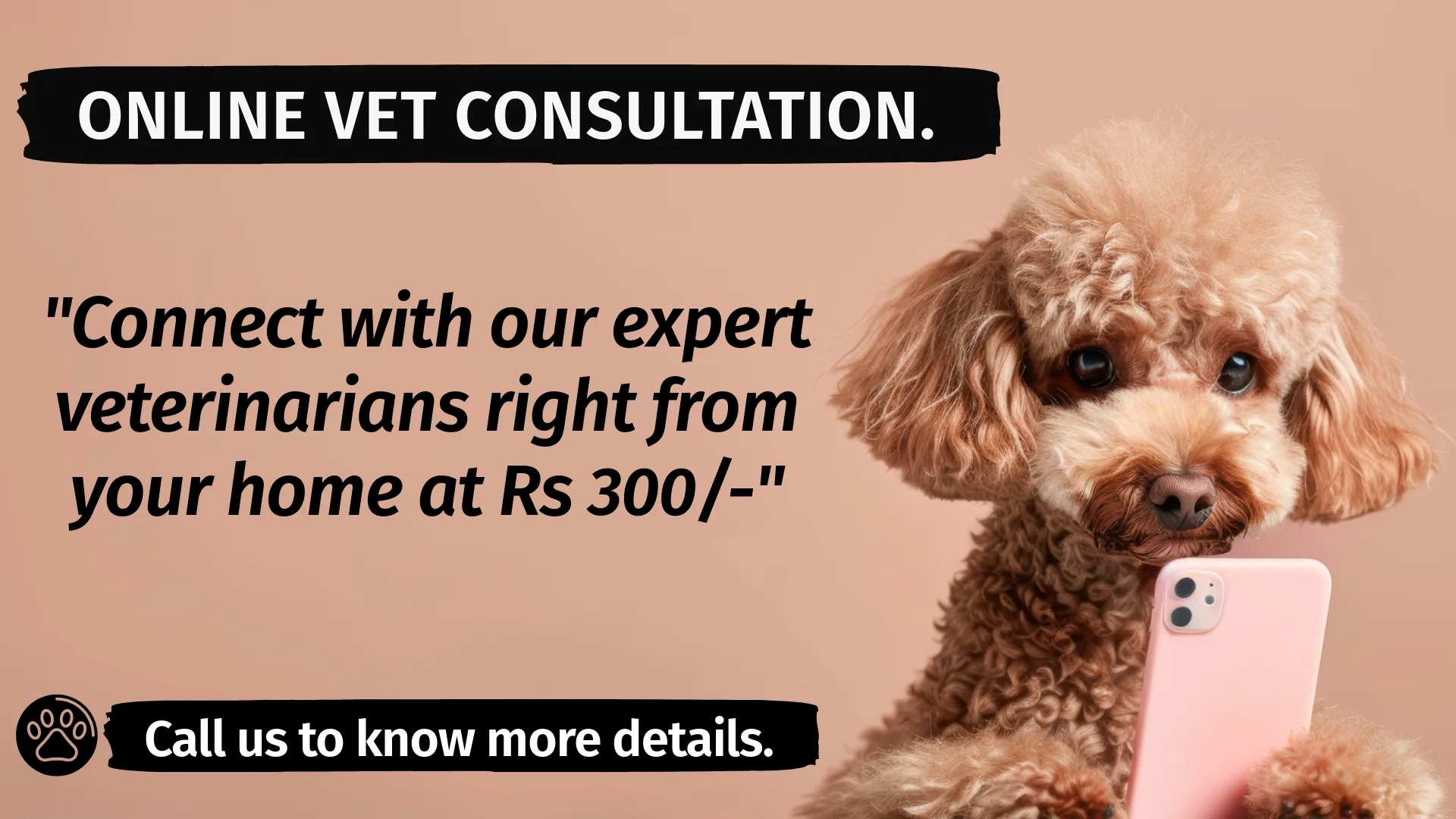 ONLINE VET CONSULATAION